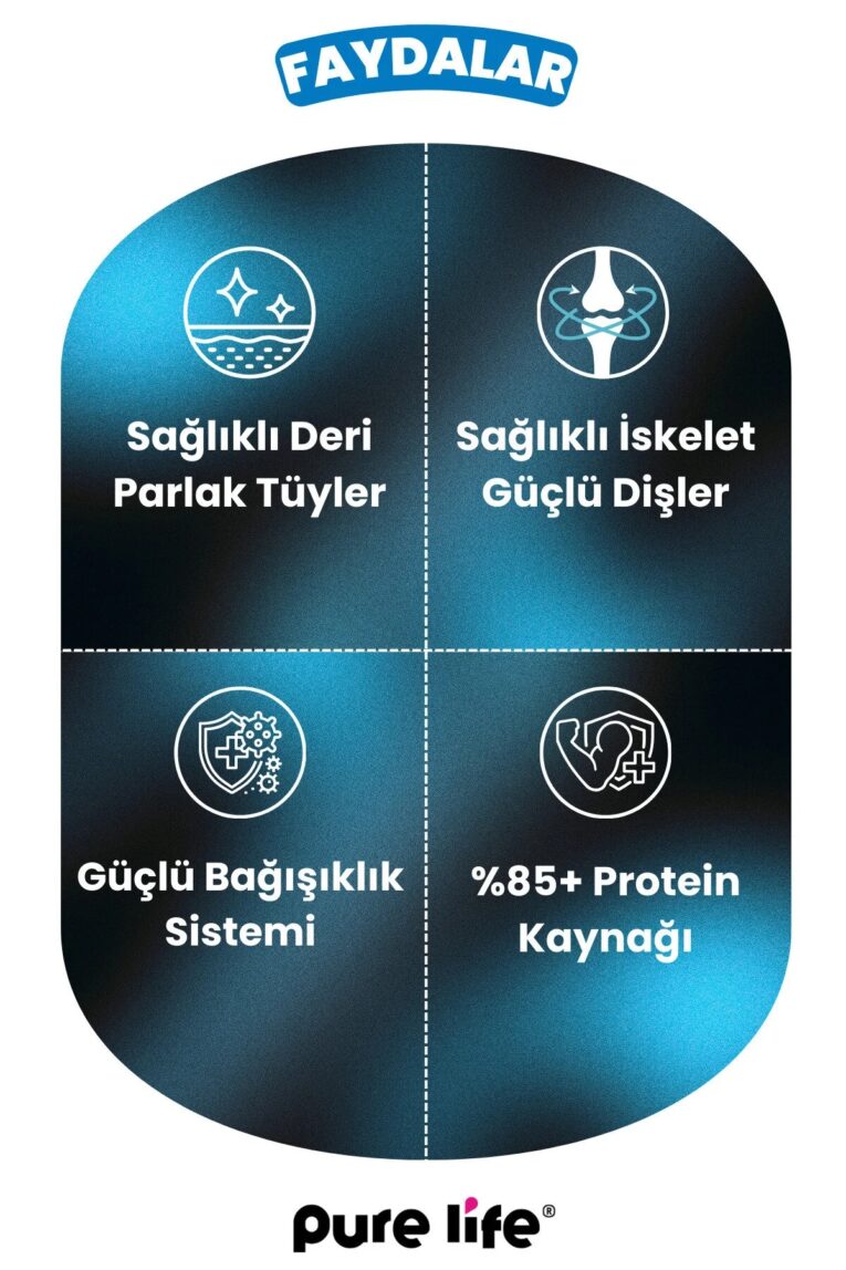 imgi_10_1_org_zoom